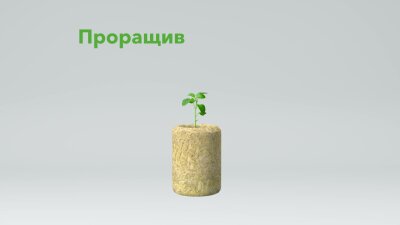 Технологии точного выращивания