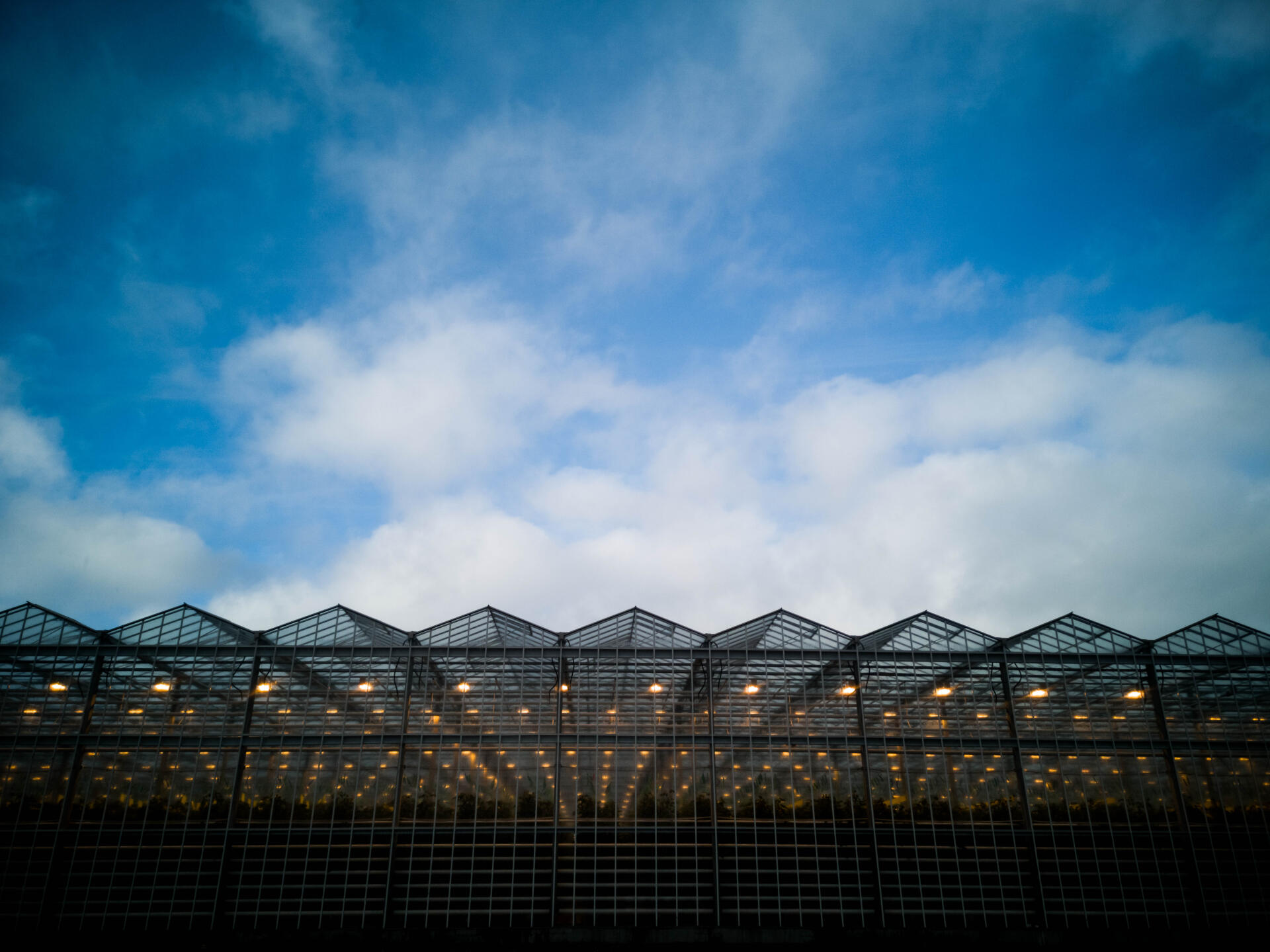 Результаты летне-осеннего оборота огурца на матах Гродан Престиж в ТК «Гринхаус» г. Старый Оскол. Пример расчета эффективности использования света Дж/кг и г/моль._5