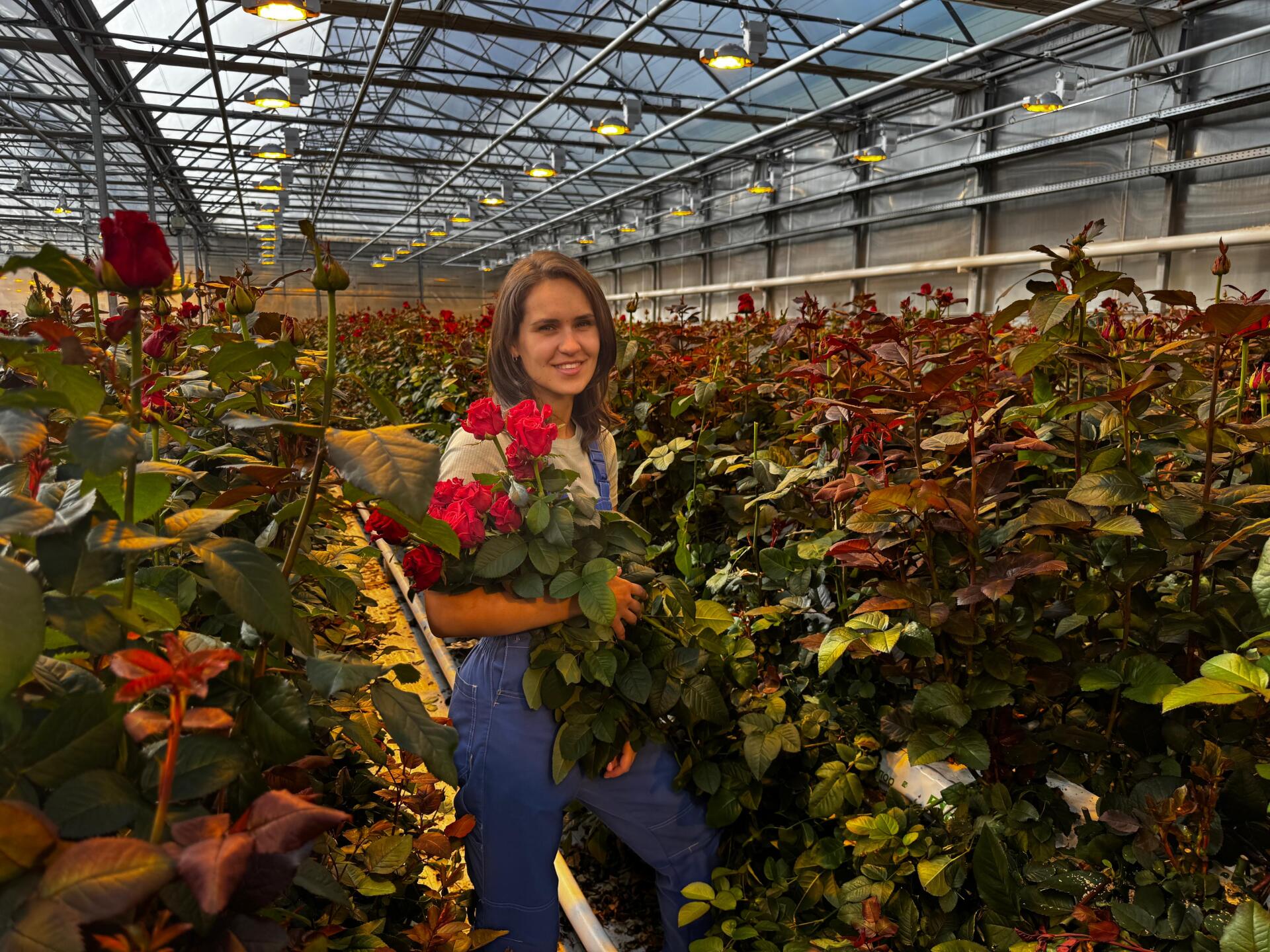 Кубики и маты Гродан (ООО «Цветы Удмуртии»)