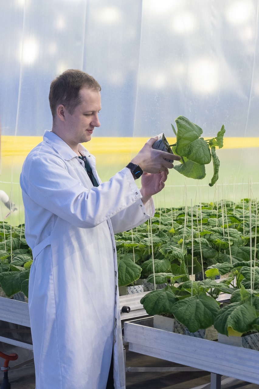 Использование матов (ООО ТК «Смоленский»)_5