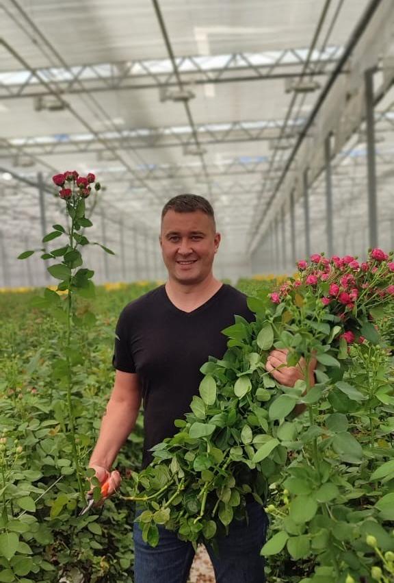 Выращивание роз на кубиках и матах Гродан (ООО «Зеленый Дом)_2