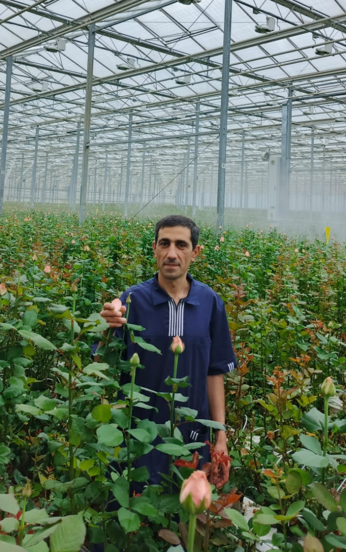 Кубики Гродан (АО «Роуз Хилл»)_1