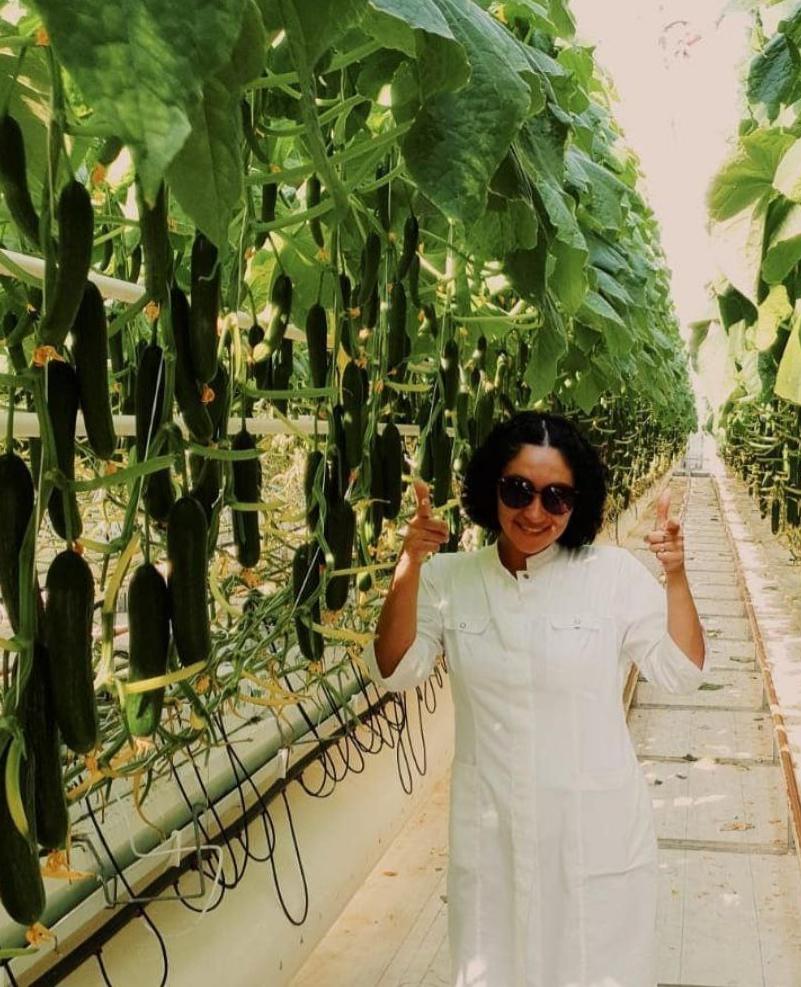 Кубики и маты Гродан  (ООО «Тепличный Комплекс Белогорья»)_3