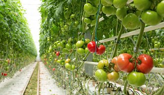 Рекомендации для точного выращивания