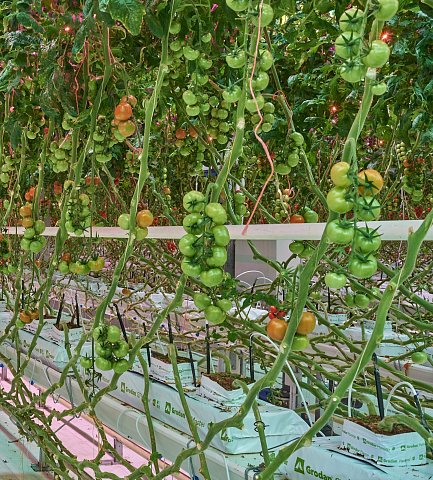 Обратный дренаж