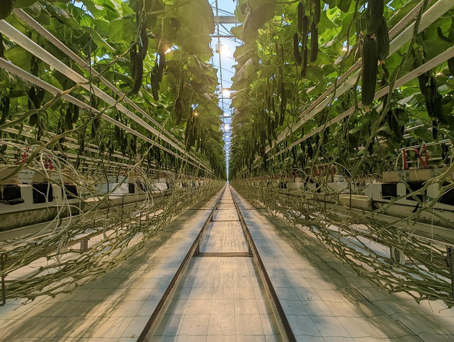 Использование матов (ООО ТК «Смоленский»)_4