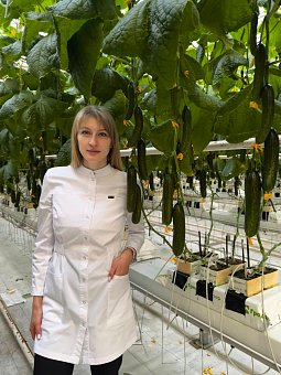 Технология выращивания в кубиках (ООО «Тепличный», Амурская обл.)