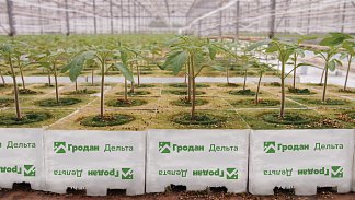 Преимущества субстратов Гродан