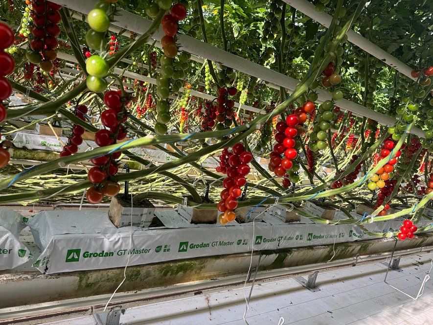 Использование кубиков и матов (ООО «Гринхаус»)_1