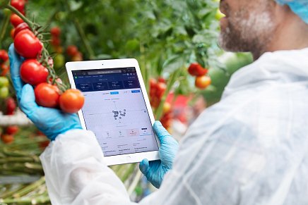 Фаза 6. Максимальная продуктивность