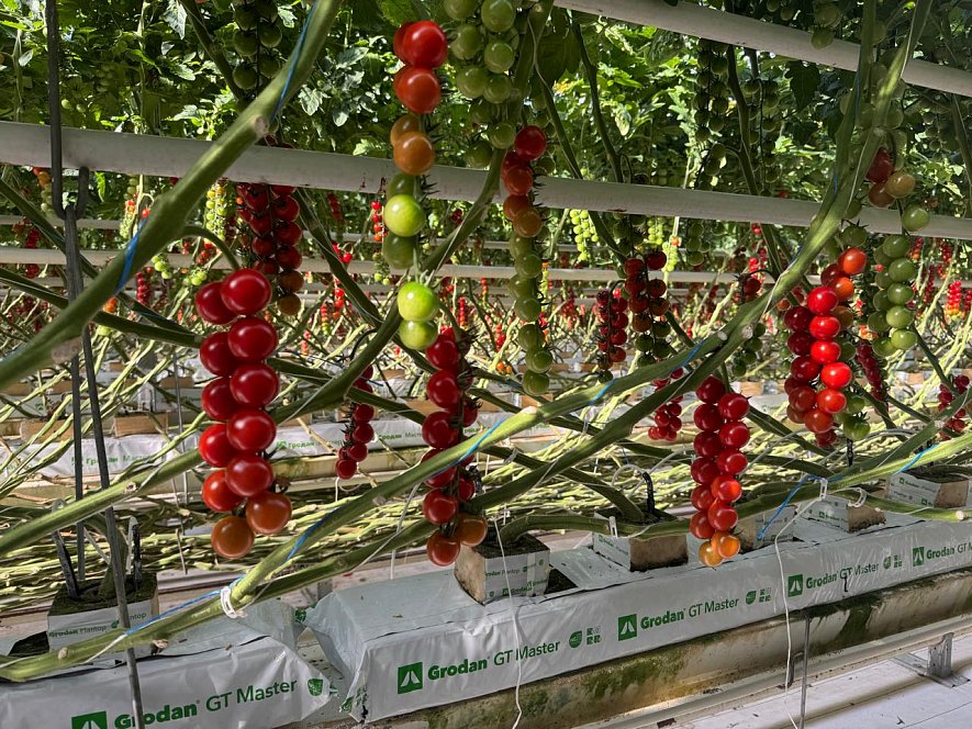 Использование кубиков и матов (ООО «Гринхаус»)_2