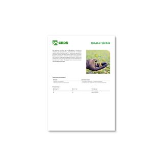 Гродан Пробка