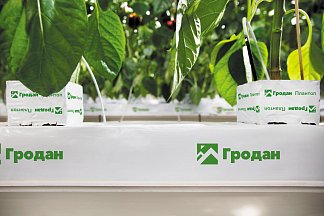 О компании Гродан