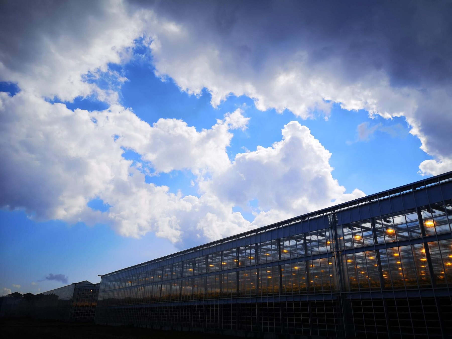 Результаты летне-осеннего оборота огурца на матах Гродан Престиж в ТК «Гринхаус» г. Старый Оскол. Пример расчета эффективности использования света Дж/кг и г/моль._4