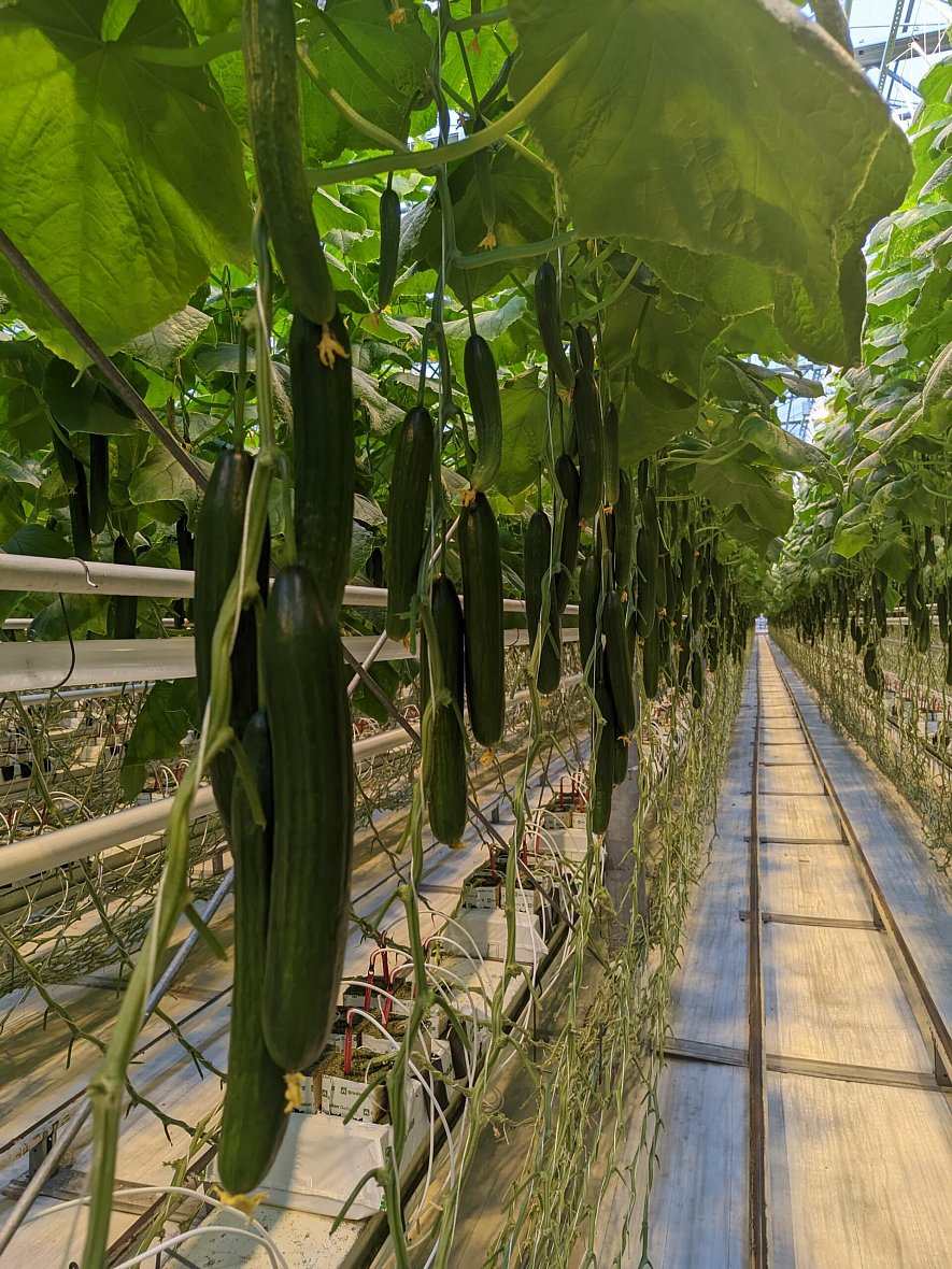 Использование матов (ООО ТК «Смоленский»)_1