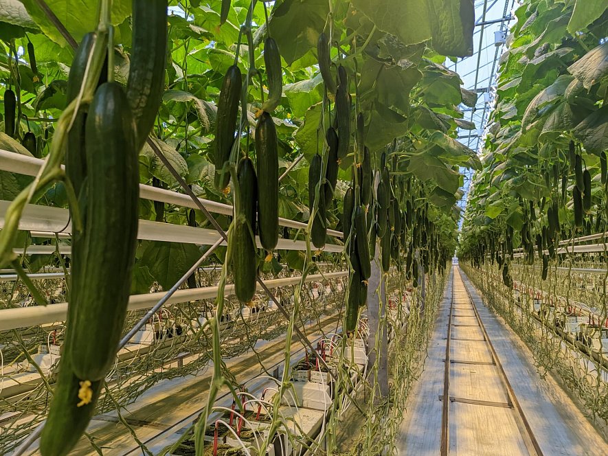 Использование матов (ООО ТК «Смоленский»)_2