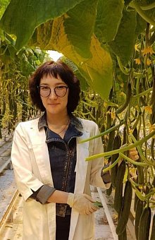 Кубики и маты Гродан  (ООО «Тепличный Комплекс Белогорья»)