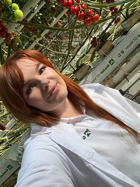 Использование кубиков и матов (ООО «Гринхаус»)