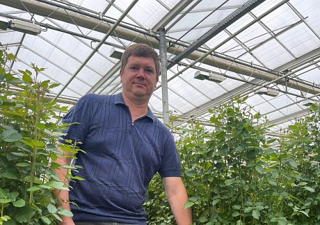 Цветы на продуктах Гродан (Калужский цветочный холдинг)