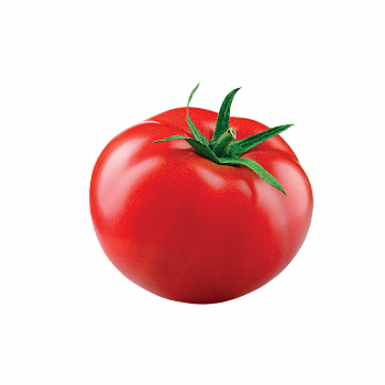 Томат