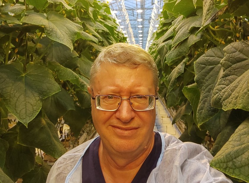 Использование кубиков и матов (ООО «ТК 2 ЮгАгроХолдинг»)