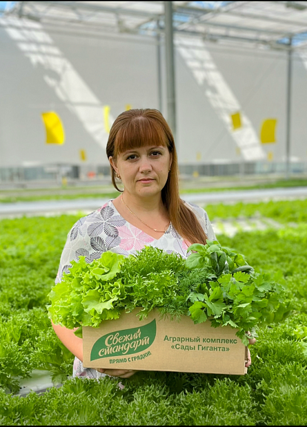 Технология выращивания на кубиках и матах Гродан (ООО «Сады Гиганта»)