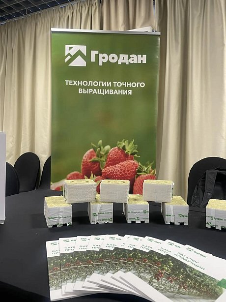 Эксперт Гродан представил преимущества выращивания земляники на каменной вате на конференции «Ягоды России 2026»