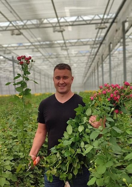 Выращивание роз на кубиках и матах Гродан (ООО «Зеленый Дом)