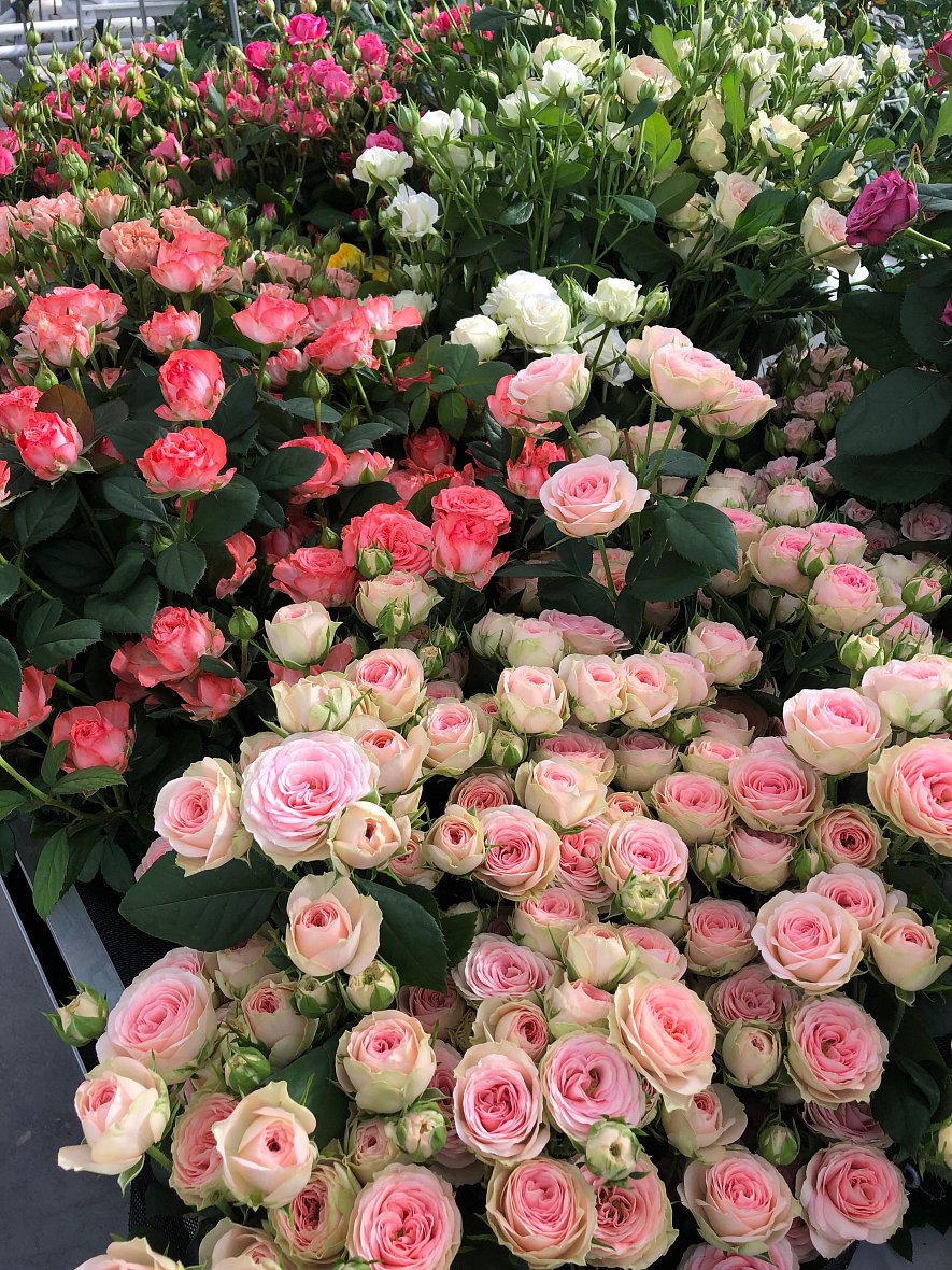 Использование кубиков (ООО «ТК-Подосинки», ОП Раменское)_15