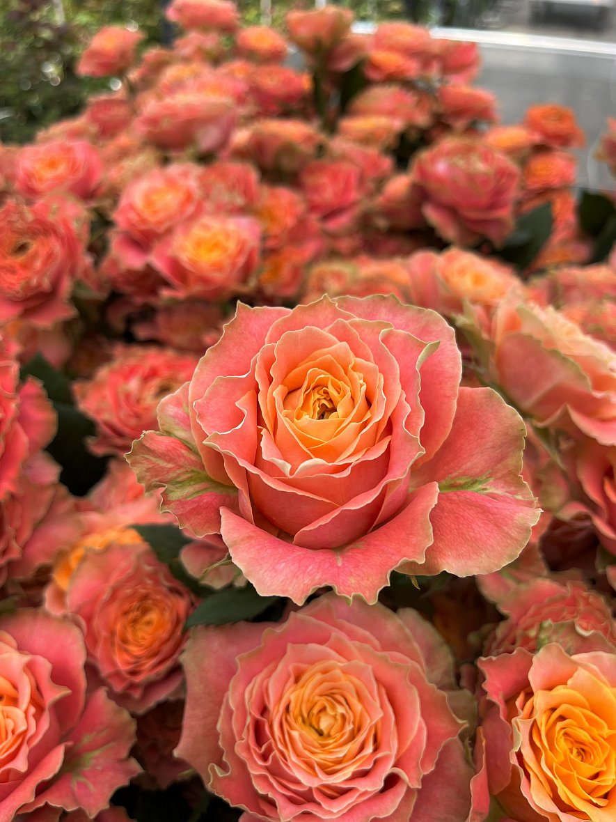 Использование кубиков (ООО «ТК-Подосинки», ОП Раменское)_8