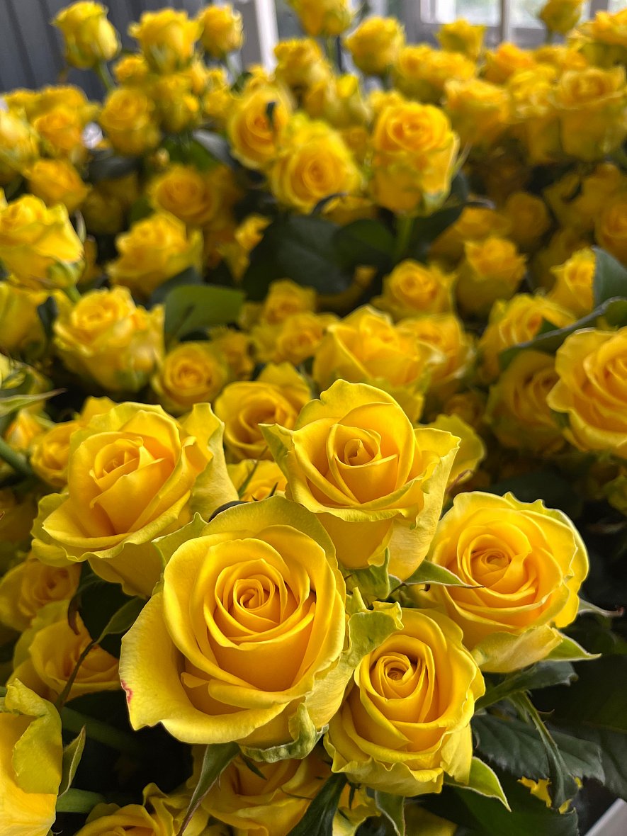 Использование кубиков (ООО «ТК-Подосинки», ОП Раменское)_4