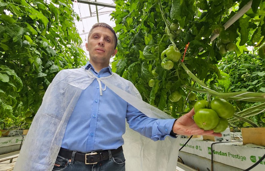 Технология выращивания в кубиках АО «Тепличное»_1