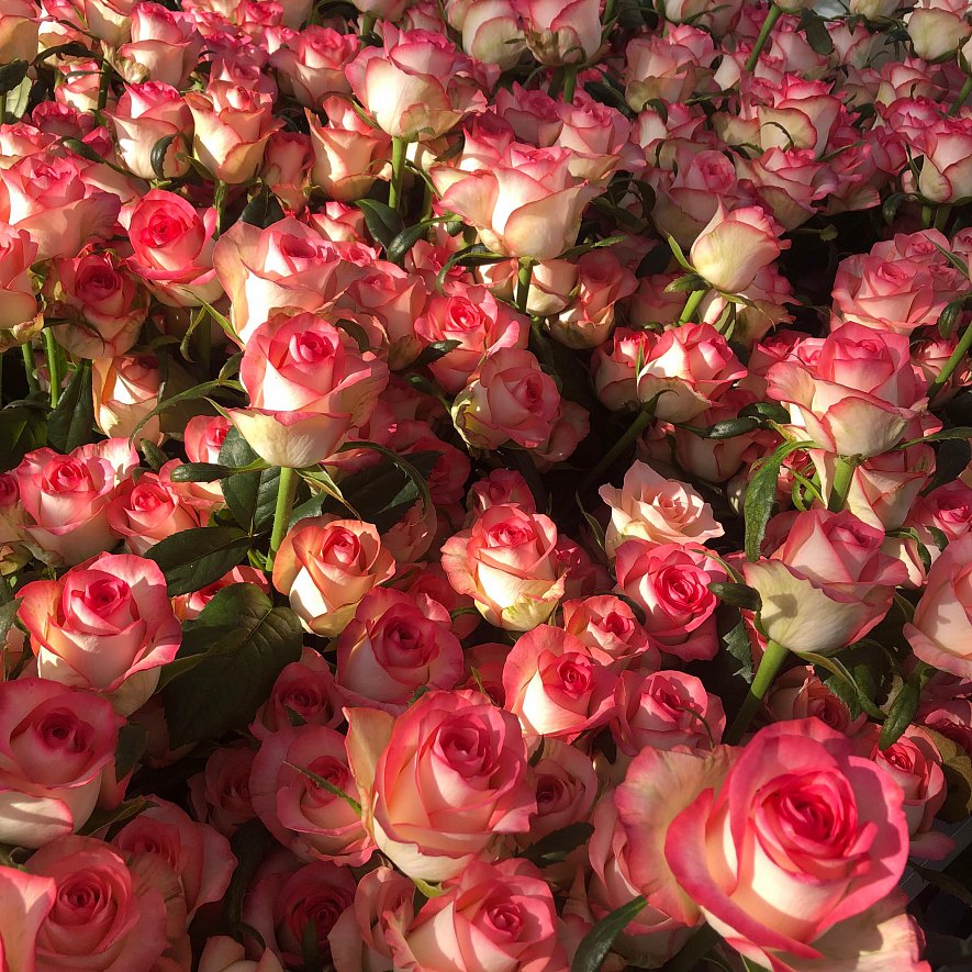 Использование кубиков (ООО «ТК-Подосинки», ОП Раменское)_7