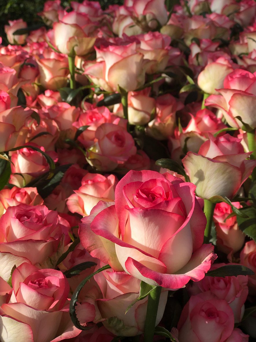 Использование кубиков (ООО «ТК-Подосинки», ОП Раменское)_13