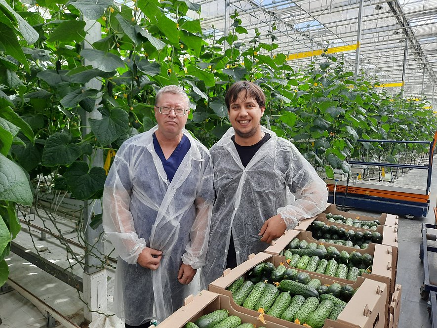 Использование кубиков и матов (ООО «ТК 2 ЮгАгроХолдинг»)_2