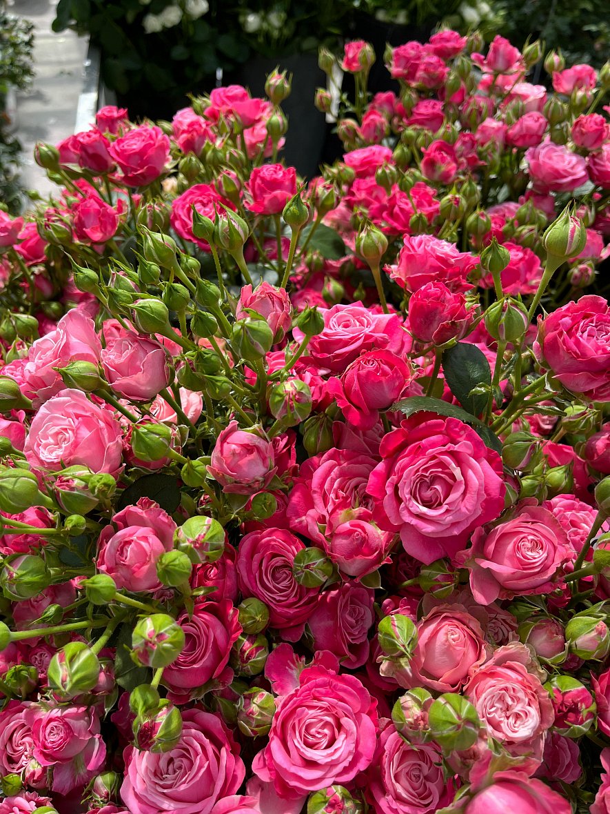 Использование кубиков (ООО «ТК-Подосинки», ОП Раменское)_9