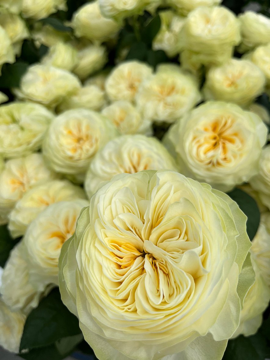 Использование кубиков (ООО «ТК-Подосинки», ОП Раменское)_16