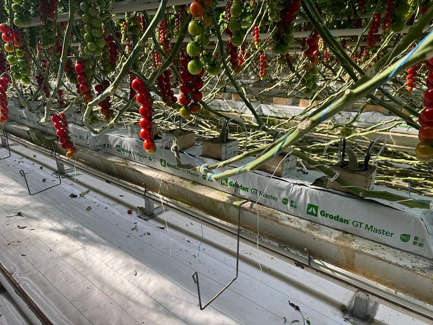 Использование кубиков и матов (ООО «Гринхаус»)_3