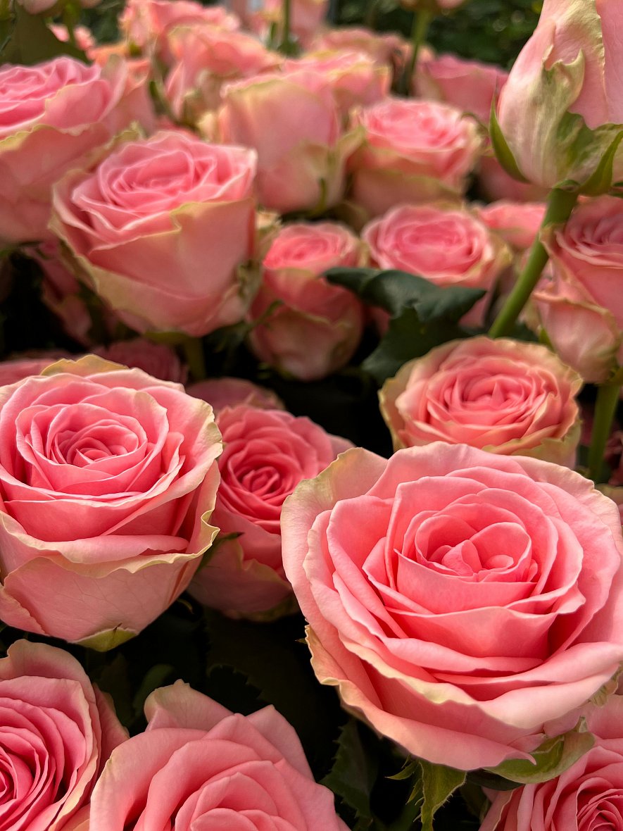 Использование кубиков (ООО «ТК-Подосинки», ОП Раменское)_14