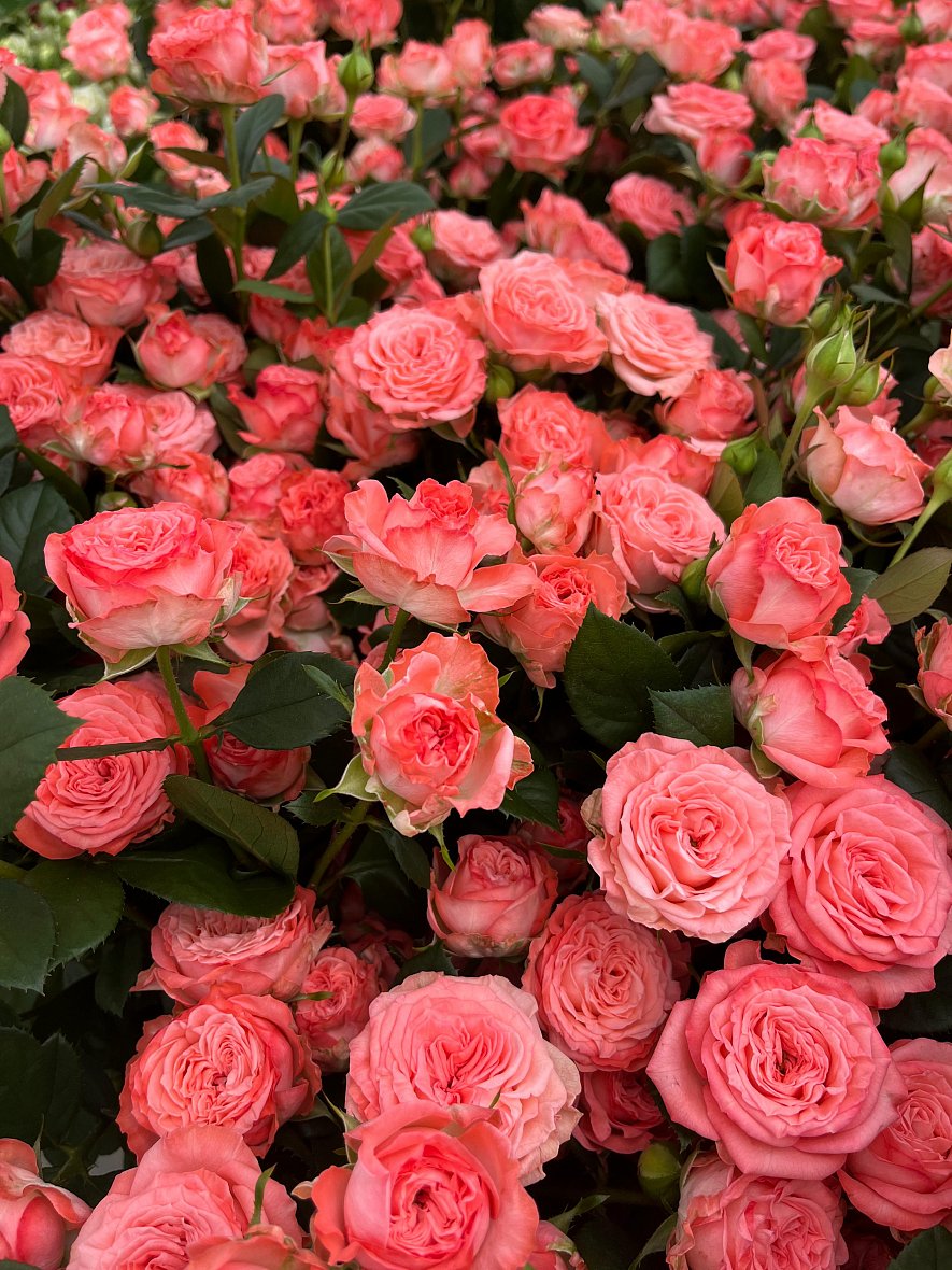 Использование кубиков (ООО «ТК-Подосинки», ОП Раменское)_12