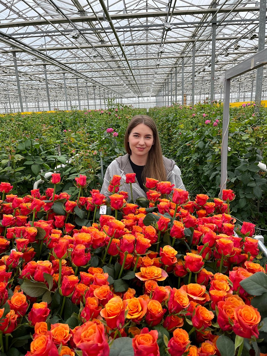 Использование кубиков (ООО «ТК-Подосинки», ОП Раменское)_1